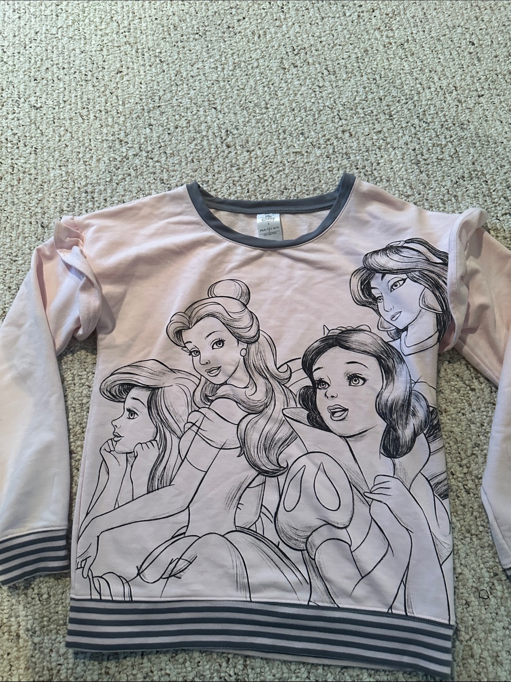 Disney Pink & Gray Princess Character Pullover
